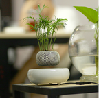 Magnetic Levitation Floating Flower Pot