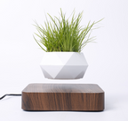 Magnetic Levitation Floating Flower Pot