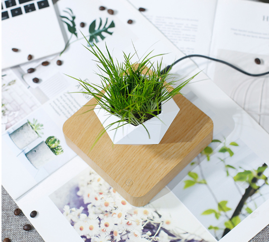 Magnetic Levitation Floating Flower Pot