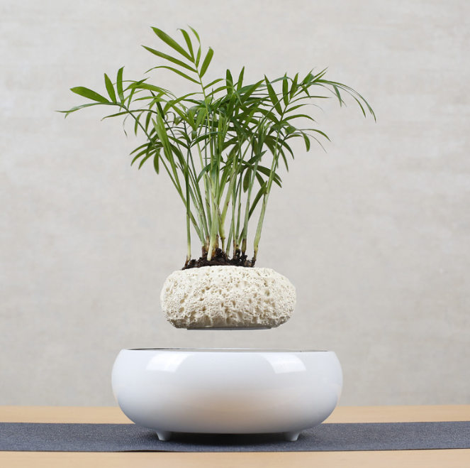 Magnetic Levitation Floating Flower Pot