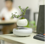 Magnetic Levitation Floating Flower Pot