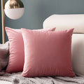Velvet Nordic Cushion Pillow – Plush Tassel Cover, 6 Colors (20"×20" / 50×50cm)